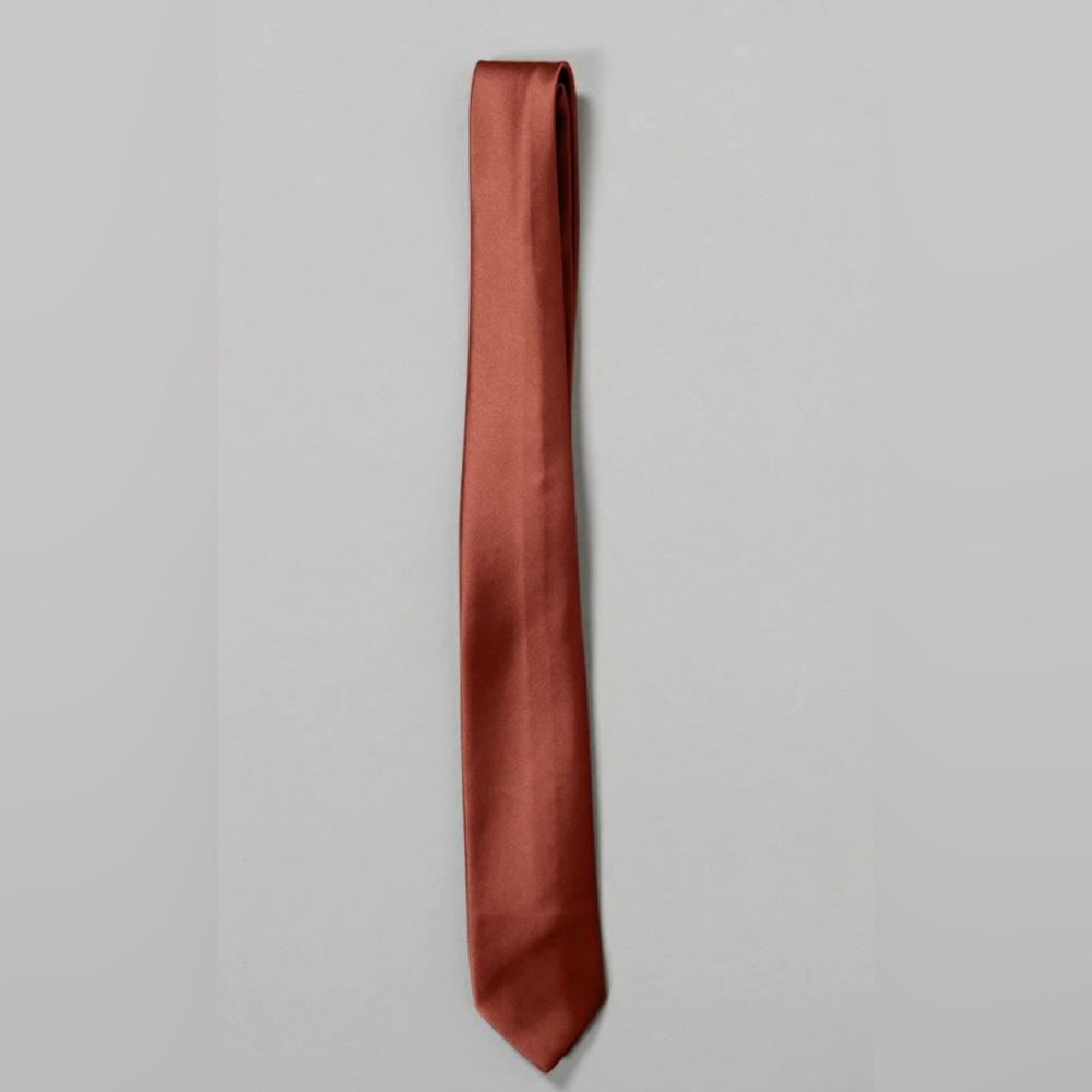Revelry Satin Tie in Terracotta Rust